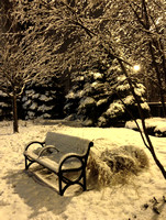 Snowy Bench - Sheridan & Thorndale