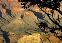 Grand Canyon Gold 10.10.12