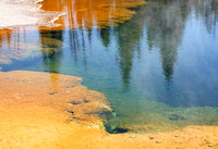 Piney Pond Colors - Lower Basin