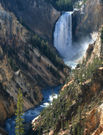 Lower Falls - Yellowstone River
