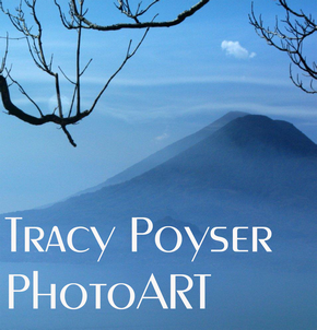 Tracy Poyser PhotoART