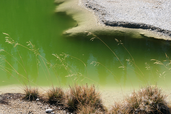 Green Magic - Norris Geyser Basin