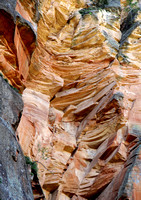 Climber's Dream - Oak Creek Canyon