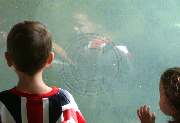 Zoo Kids - Lincoln Park, Chicago