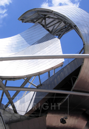 GehrySoaring-MilleniumPark.jpg